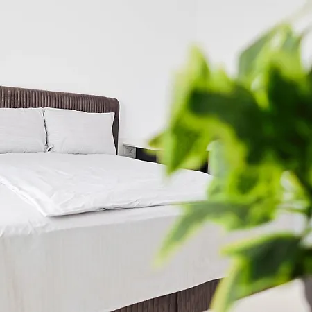 Greendream Apartment Brasov