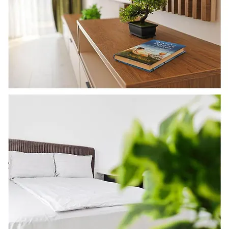 Greendream Апартаменты Брашов