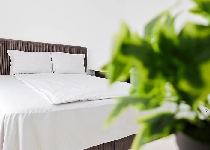 Greendream 公寓 布拉索夫