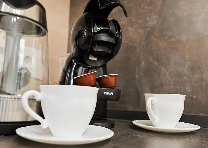 Greendream 公寓 布拉索夫