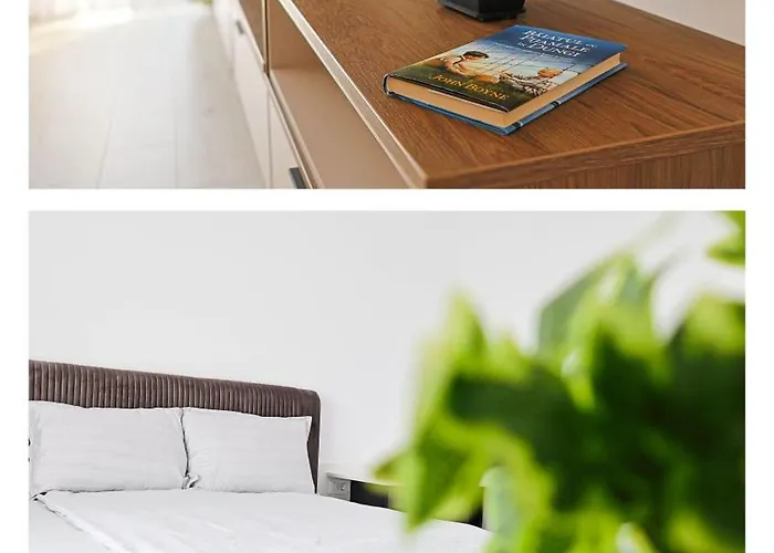 Greendream 公寓 布拉索夫