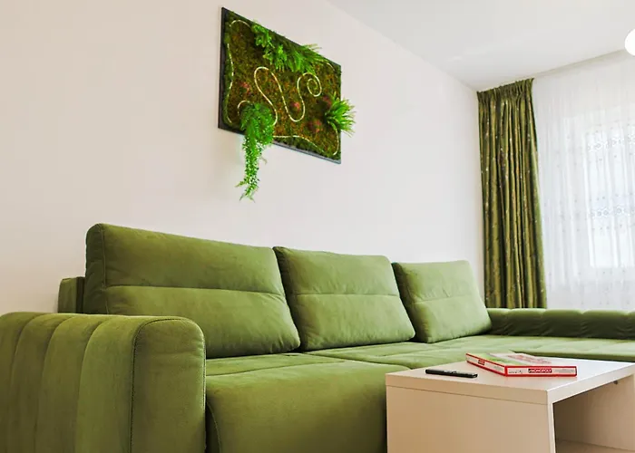 Greendream * 布拉索夫